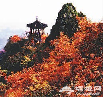 第23屆香山紅葉文化節2011年10月12日開幕