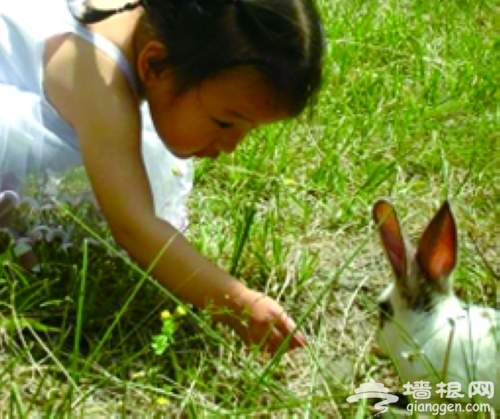 親子樂園 親子樂園