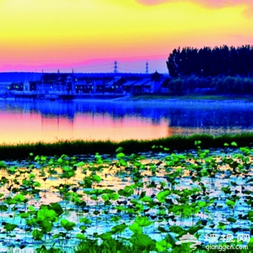 大運河森林公園