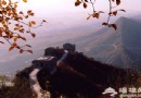 萬裡長城精華之旅 八達嶺長城游玩攻略