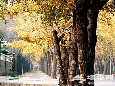 北京秋天美麗角落