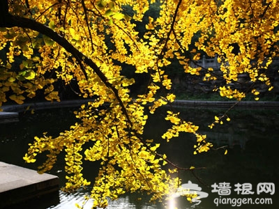 北京秋天美麗角落