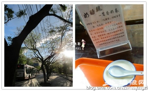 奶酪魏的原味奶酪和懷念的南城樹蔭,分別攝於2010年的5月騎行、2009年7月回國後跟Nadege小聚 奶酪魏的原味奶酪和懷念的南城樹蔭,分別攝於2010年的5月騎行、2009年7月回國後跟Nadege小聚