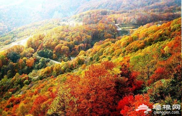 一覽秋日美 京郊爬山賞紅葉6大好去處(圖)