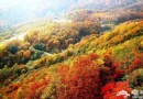 一覽秋日美 京郊爬山賞紅葉6大好去處