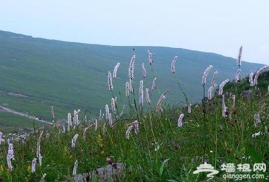 一覽秋日美 京郊爬山賞紅葉6大好去處(圖)