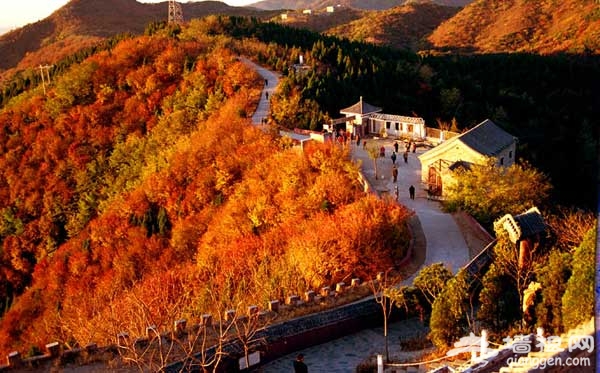 一覽秋日美 京郊爬山賞紅葉6大好去處(圖)