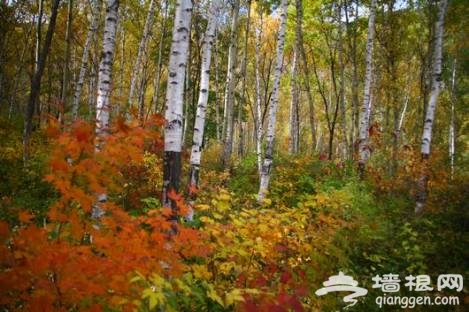 北京懷柔：燕山自然風景區邀您金秋行[牆根網]