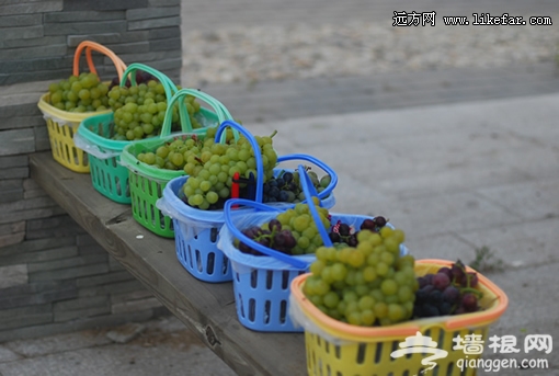 我們的勞動成果 作者:王咩咩 我們的勞動成果 作者:王咩咩