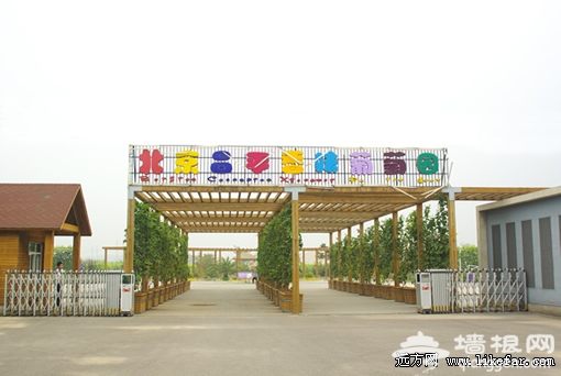葡萄園 葡萄園
