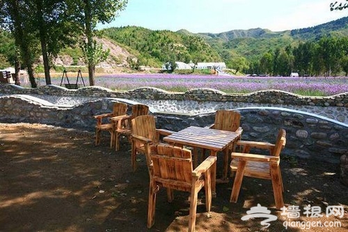 紫海香堤藝術莊園：沉醉古長城腳下