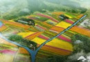 京郊農田變花園 延慶四季花海近萬畝花卉綻放