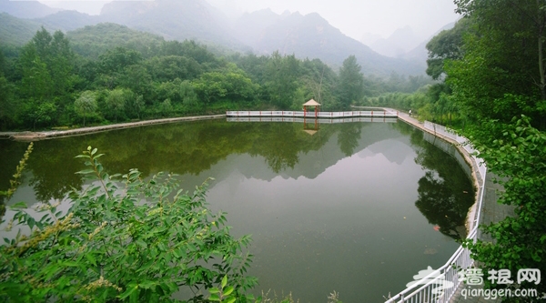 京郊自助游 密雲新城子霧靈西峰彩葵園攻略