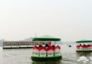 北海公園新增60條荷花船 游玩攻略推薦