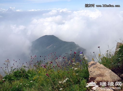 山頂迷霧 攝影：東風