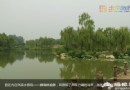 寧靜夏日 稻香湖濕地公園游玩攻略