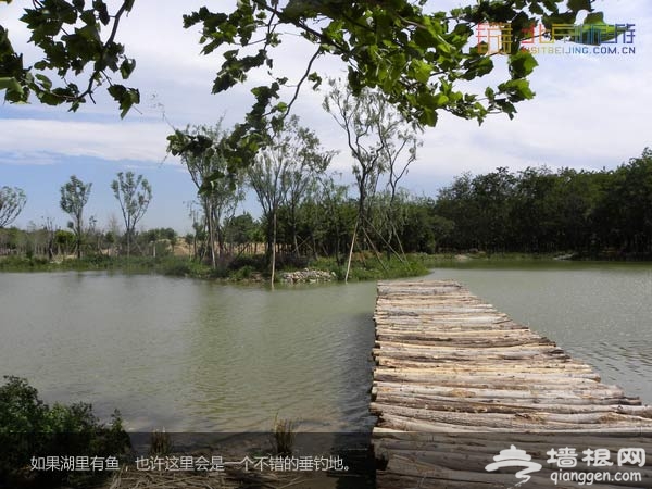 北京國際汽車露營公園美景