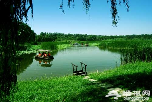 周末休閒游 北京濕地公園游玩5大好去處