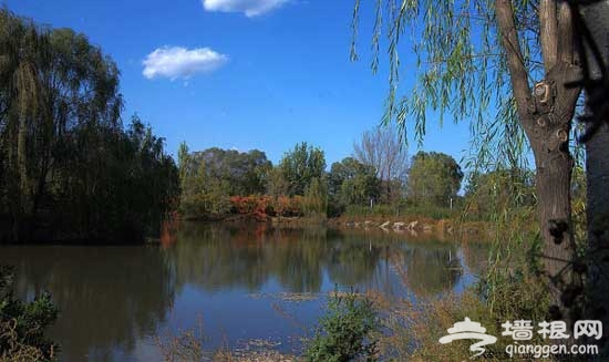 周末休閒游 北京濕地公園游玩5大好去處