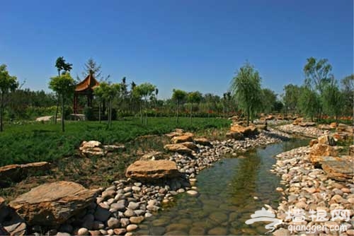 周末休閒游 北京濕地公園游玩5大好去處