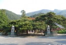 潭柘寺重現“飛瀑流水”景觀 游玩攻略
