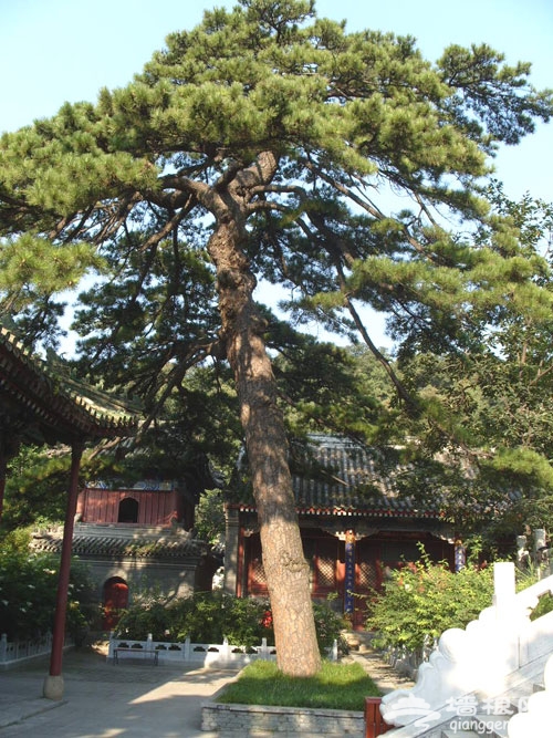 潭柘寺重現“飛瀑流水”景觀 游玩攻略