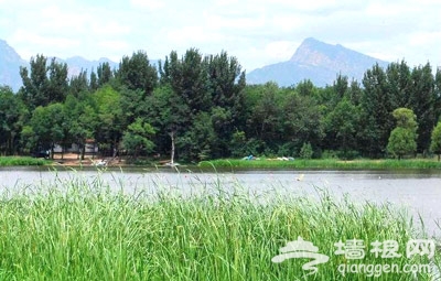 夏季看“綠海” 北京及周邊草原旅游地推薦