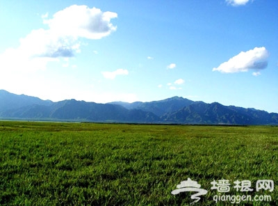 夏季看“綠海” 北京及周邊草原旅游地推薦