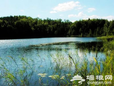 遠離鬧市尋自在 夏日神游不老湖