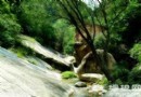遠離鬧市尋自在 夏日神游不老湖