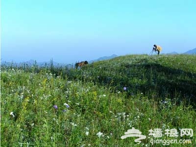 與大自然親密接觸 京郊十大露營地推薦(圖)