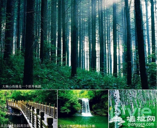 走在林間小道上 京郊6大森林公園游玩攻略