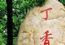 八達嶺國家森林公園 丁香谷裡尋丁香