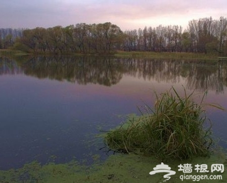 2011北京踏青好去處 翠湖濕地燒烤看鳥[牆根網]