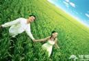 六月京郊拍靓照 回歸多情的土地