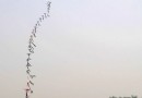 5月尾巴6月前奏 探訪京郊最大油菜花海