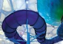 水立方嬉水樂園