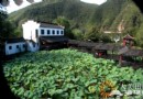 懷柔小秦淮 打撈荷塘流轉的記憶