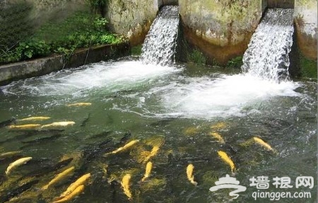 京郊度假響水湖：遠望長城 近聽泉水