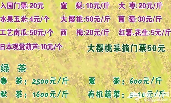 懷柔橋梓鎮賞油菜花 農業大公園使勁玩[牆根網]