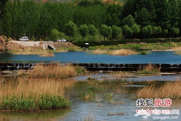 京郊油菜花 2011年密雲北莊賞花攻略[牆根網]