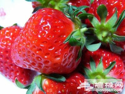 五月草莓飄香 京郊采摘玩樂全攻略