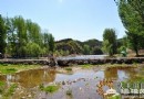 懷柔竹溪農莊：清涼夏日歸田園居