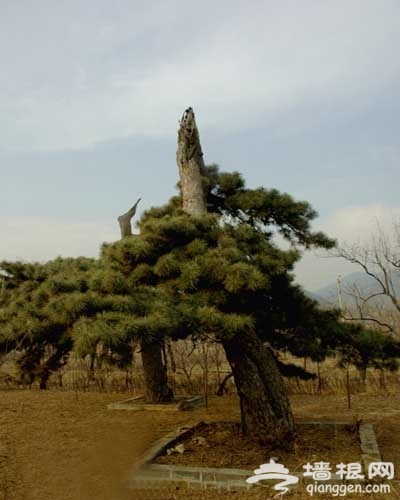 守皇陵的城堡 昌平康陵村游玩攻略(圖)