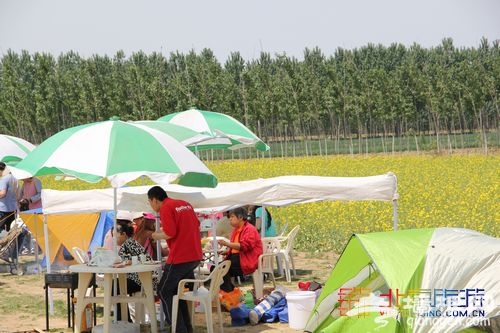 油菜花綻放 布拉格農場初夏踏青指南