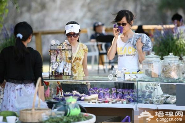 游香:香草園中可以隨意參與的游戲