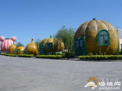 南瓜小屋 南瓜小屋