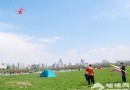 京城四大放風筝地 放風時節剛剛好