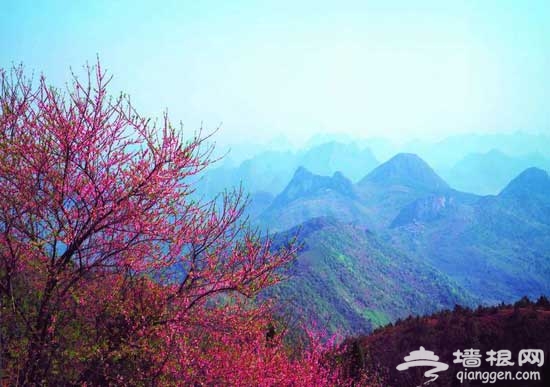 古香道穿越:從陽台山游走到妙峰山(圖)