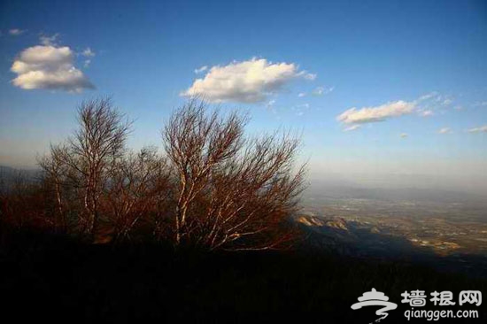 古香道穿越：從陽台山游走到妙峰山(圖)